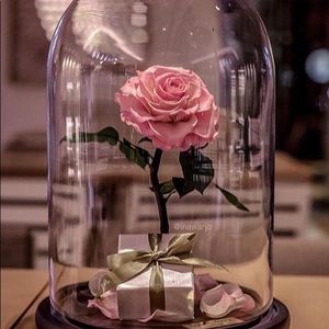 Meet your Posher, Katia